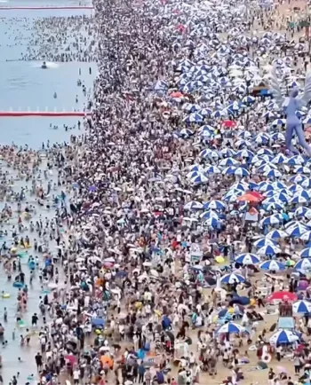 景区安全第一避坑反思教训