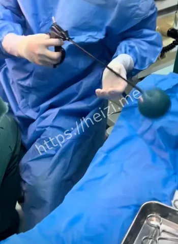 网友热议