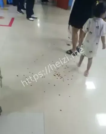 报复社会事件
