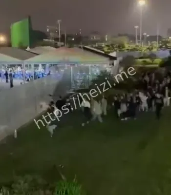 集体逃票