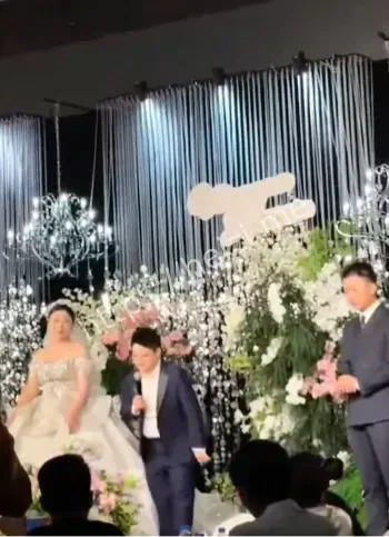 试管宝宝