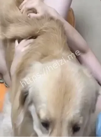 微信聊天记录