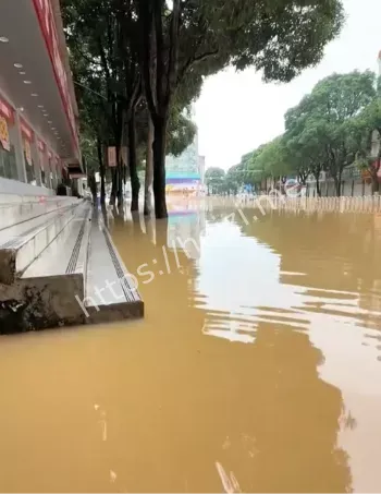 农民损失惨重