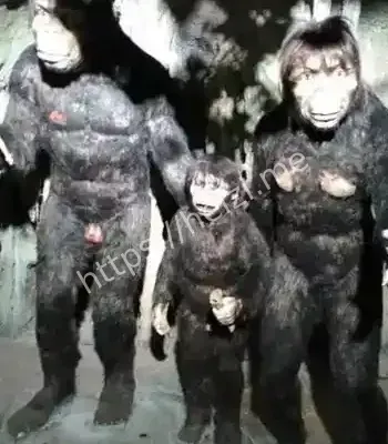 物种现身