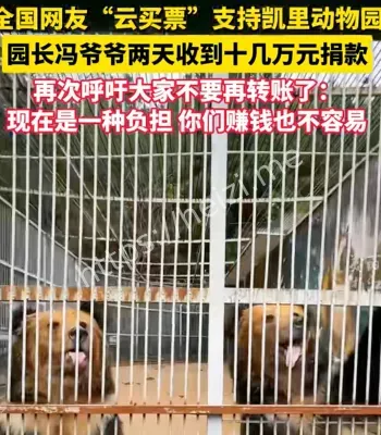 凯里动物园