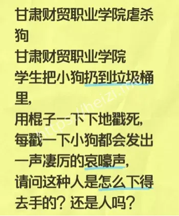 动物保护法