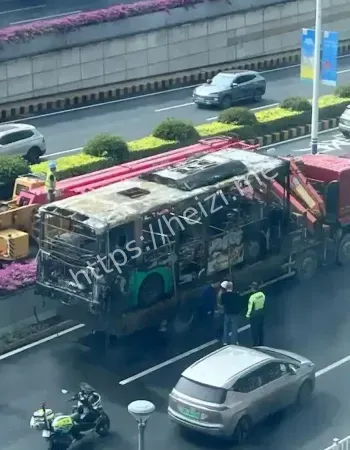 官方通报