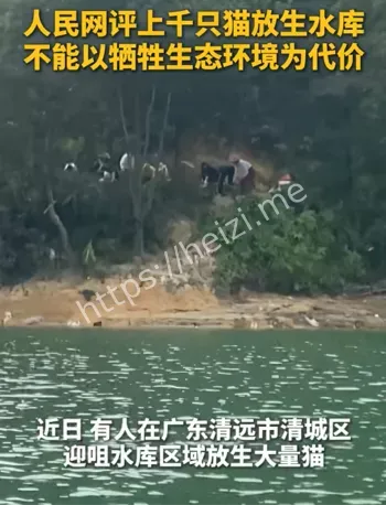 饮用水库
