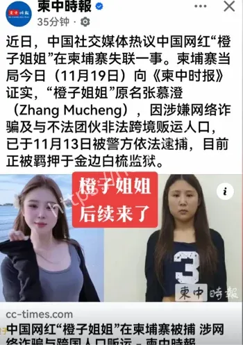橙子姐姐