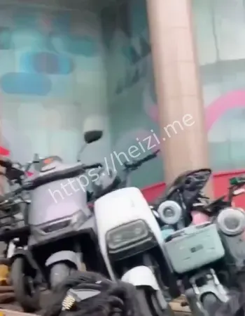 交警执法