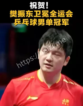 樊振东冠军