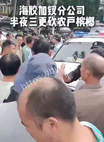 琼中县农民