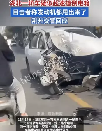 轿车撞断树