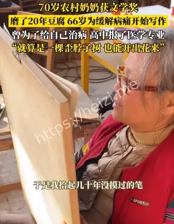 农村写作走红