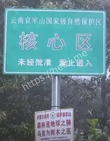 哀牢山
