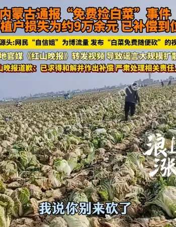 免费采捡白菜
