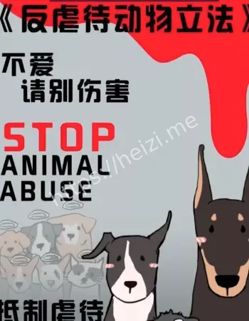 反虐待动物法