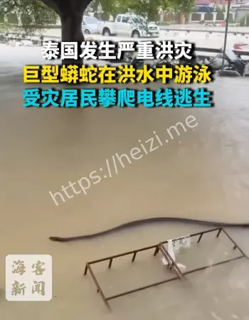 泰国洪灾