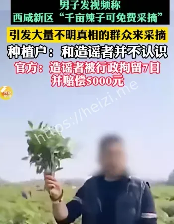 辣椒免费摘