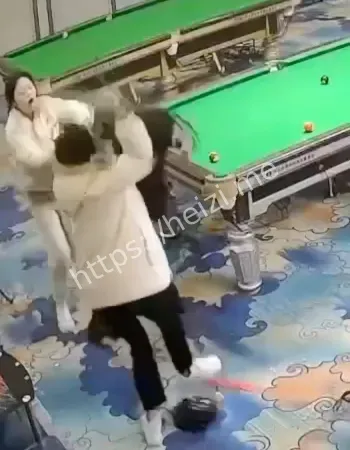 双刀姐妹花