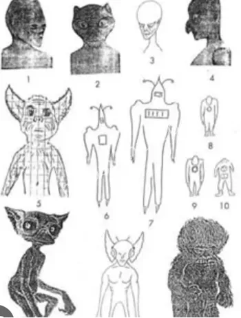 UFO着陆目击