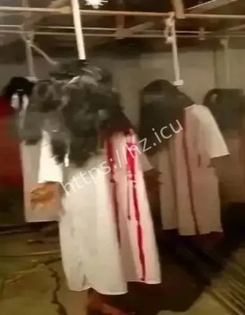 吓哭网友