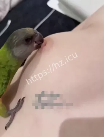 干爹转账实锤