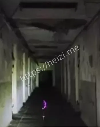 蒂米娃娃