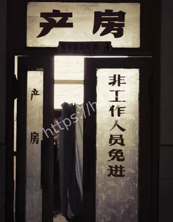 不敢再靠近