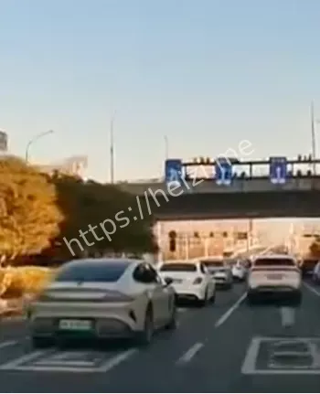 家庭纠纷