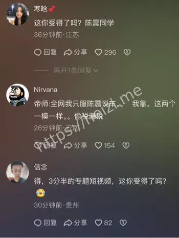 陈震偷税案