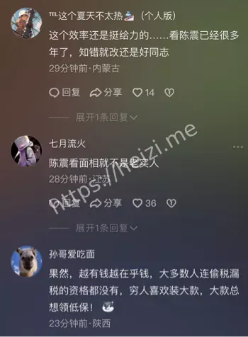 陈震偷税案