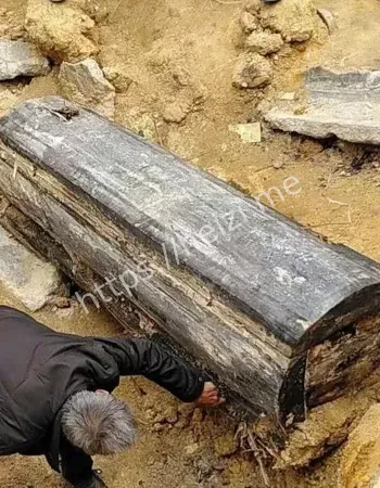 滇南秘闻