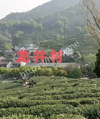 749局神秘调查