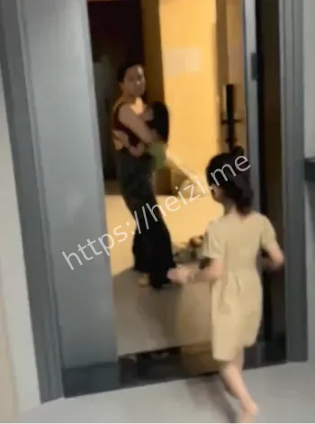 私生子爱巢