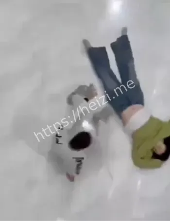 聊天记录曝光