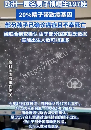 TP53基因突变