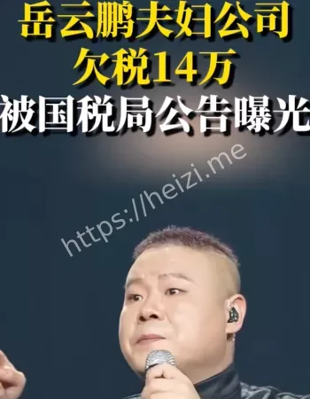 岳云鹏欠税