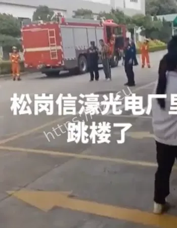 深圳松岗