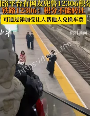12306回复