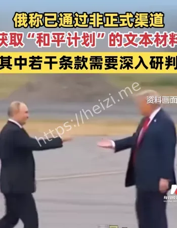 和平计划材料
