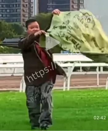 沙田赛马场
