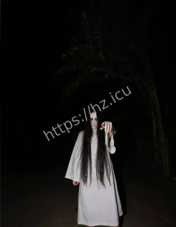 监控录像外泄