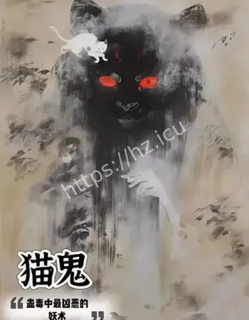 749局揭秘