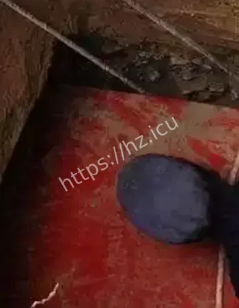 复活索命