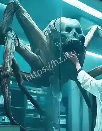 首度曝光