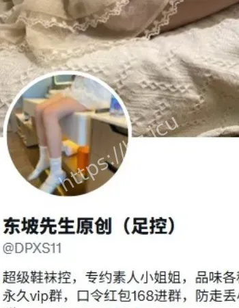 东坡先生