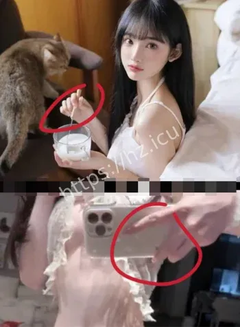 高知才女双面