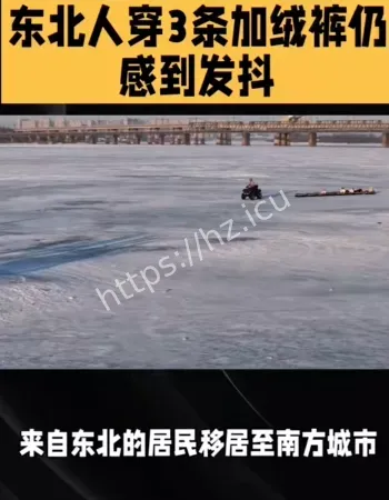东北人在南方