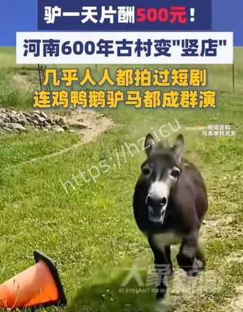 驴1天片酬
